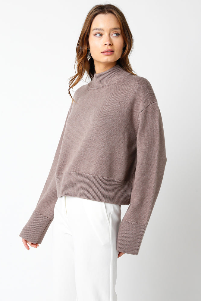 Cozy Weather Sweater Top