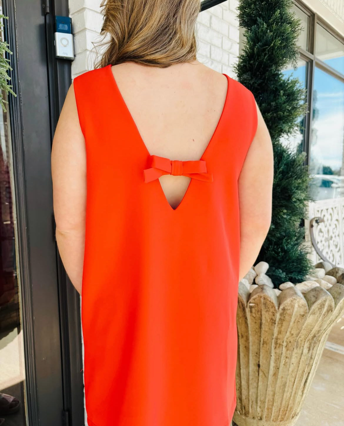 Scarlet Bow Mini Dress