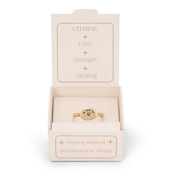 Birthstone Signet Rings