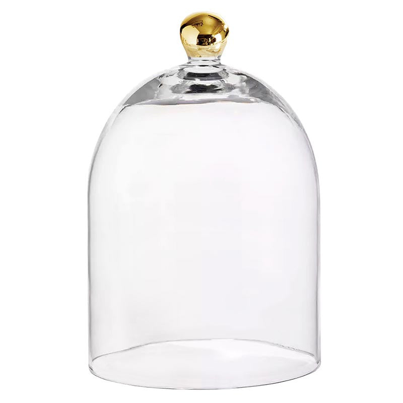 Gold Knob Glass Cloche -Large