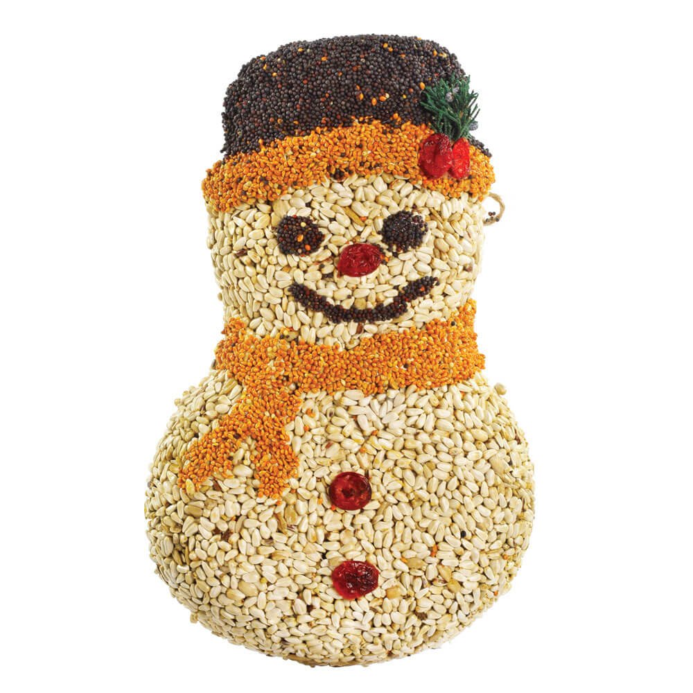 Mr. Bird Frosty Snowman
