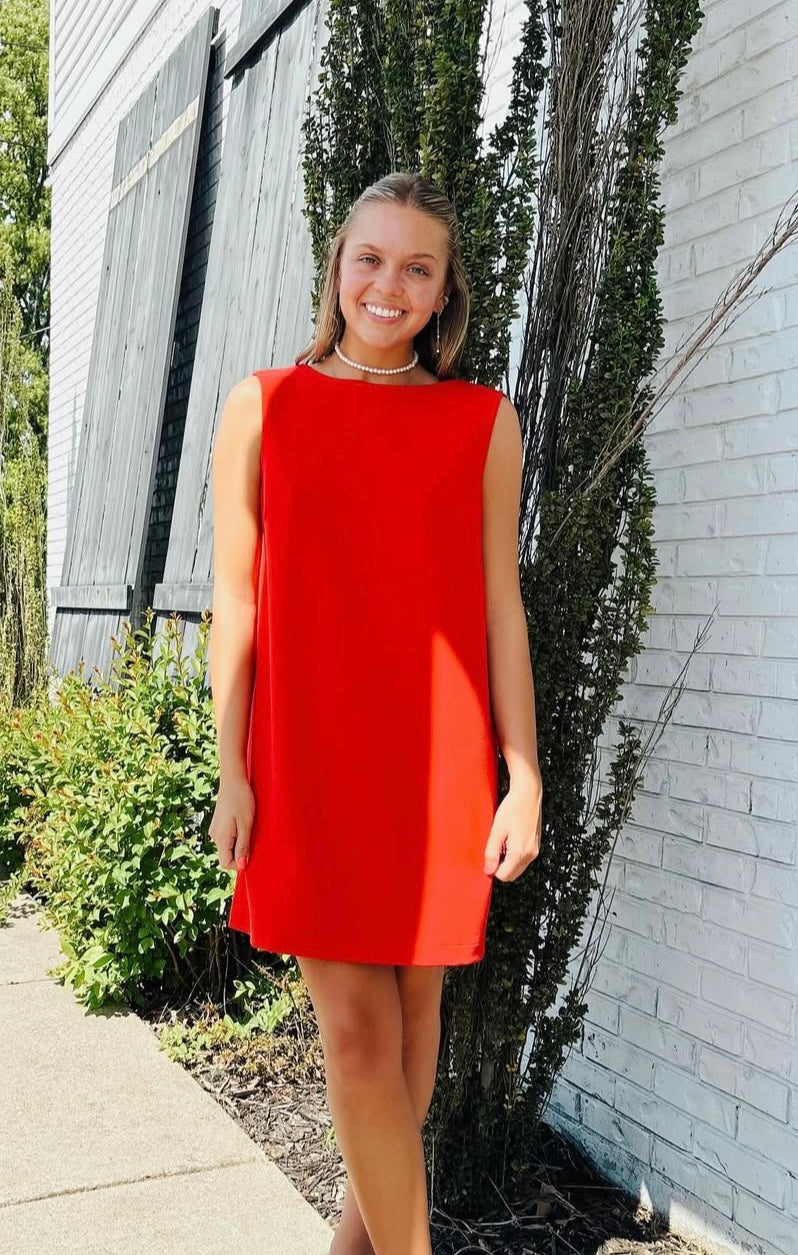 Scarlet Bow Mini Dress