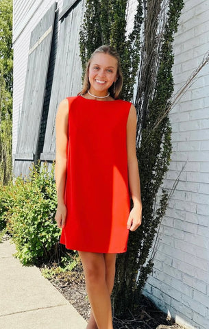 Scarlet Bow Mini Dress