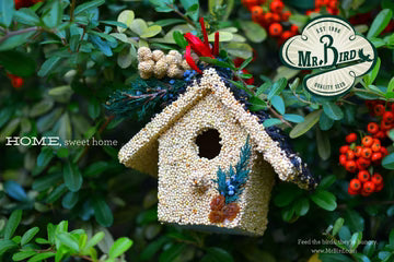 Mr. Bird Holiday Birdie Cottages