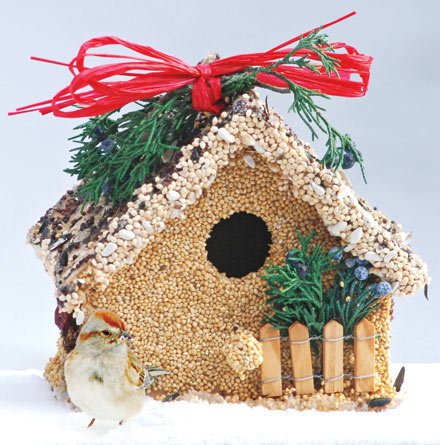 Mr. Bird Holiday Birdie Cottages