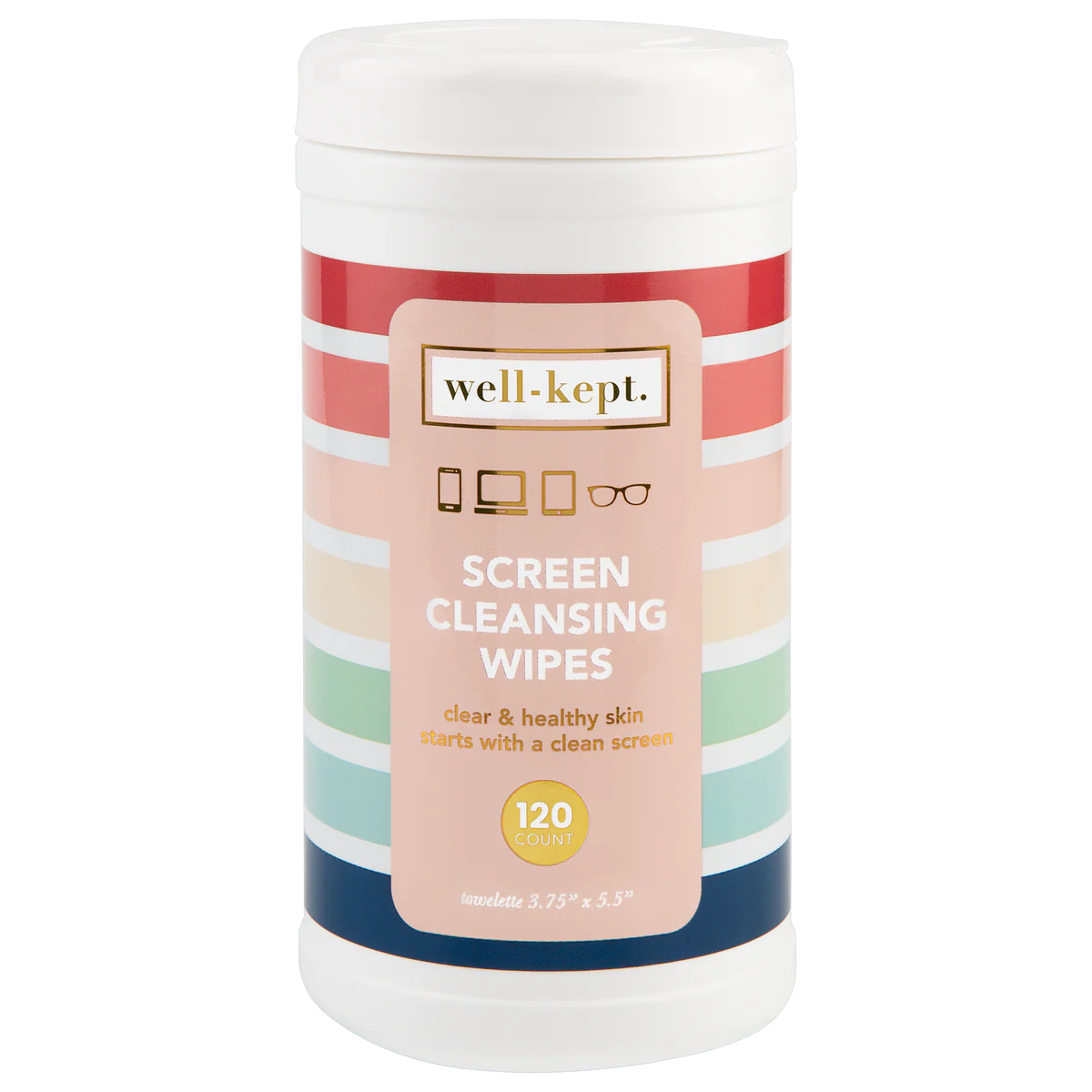 Well Kept Screen Cleaning Wipes Canister