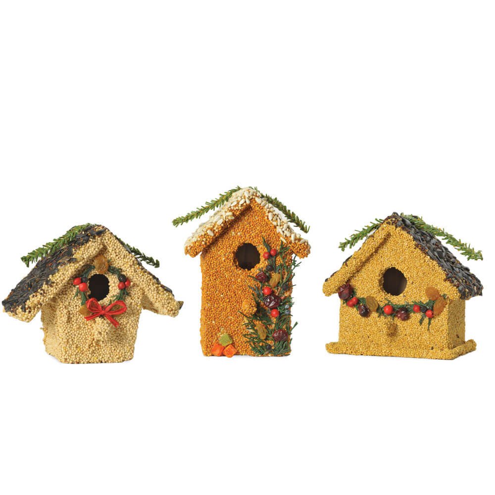 Mr. Bird Holiday Birdie Cottages